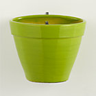 Hermione Large Wall Planter.