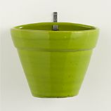 Hermione Medium Wall Planter