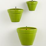 Hermione Wall Planters