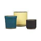 Himara Planters