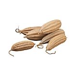 Jinga Pods Set of Six