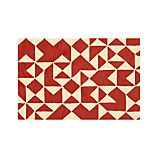 Kipp Persimmon 4x6 Rug