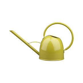 Lime Watering Can