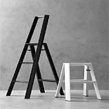 Hasegawa® Lucano Step Stools