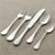 LuccaPlacesetting5PcS13