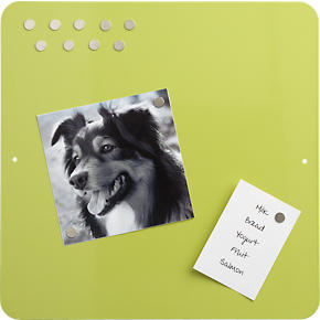 Magnet 12 Board