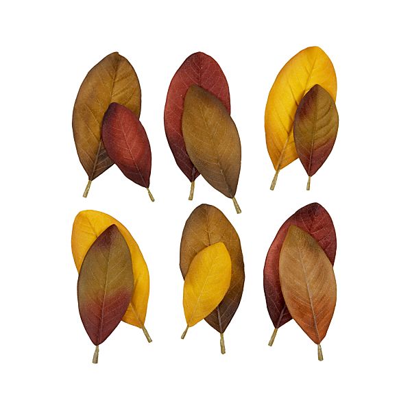 MagnoliaScatterLeavesF12