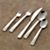 MesaPlacesetting5PcS13