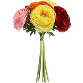 Ranunculus Bunch