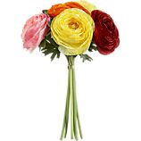 Ranunculus Bunch