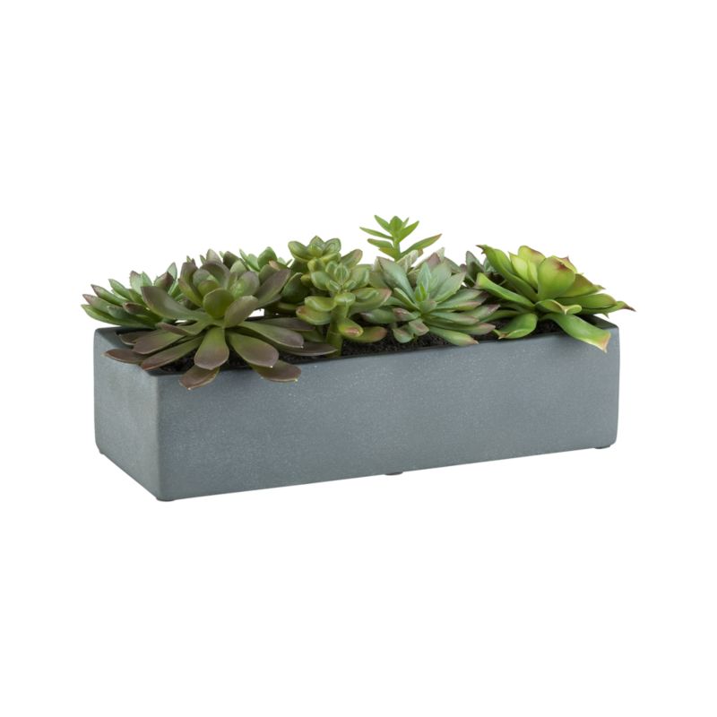 Artificial Succulents in a Pot Crate and Barrel
