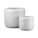 Nalani Planters