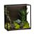 NaliniShdwBxTerrariumS12