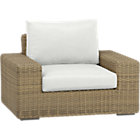 Newport Lounge Chair with Cushions (includes one seat and one back cushion)
