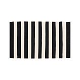 Olin Black 30"x50" Rug