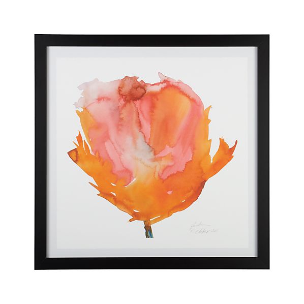 OrangePoppyF12