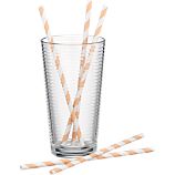 Orange Paper Straws Set of 25