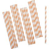 Set of 25 Orange Paper Straws