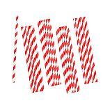 Set of 25 Red Stripe Paper Straws