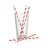 Red Stripe Paper Straws Set of 25