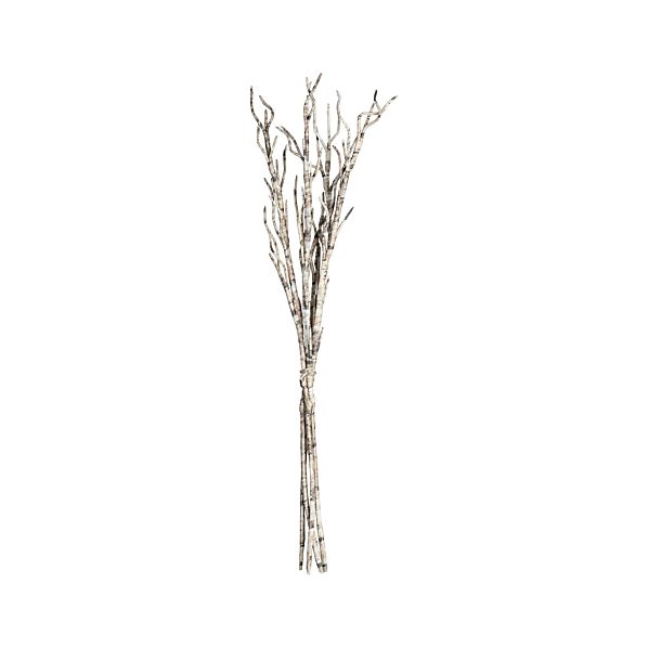 PaperTwigBranchS4LLF12