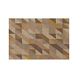 Paradigm 4x6 Rug