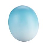 Pastel Blue Egg