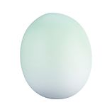 Pastel Green Egg