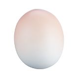 Pastel Pink Egg