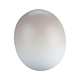 Pastel Taupe Egg