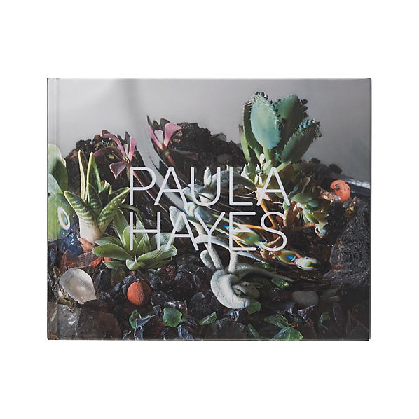 PaulaHayesBookF12