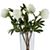 PeonyStemWhiteAV2S9