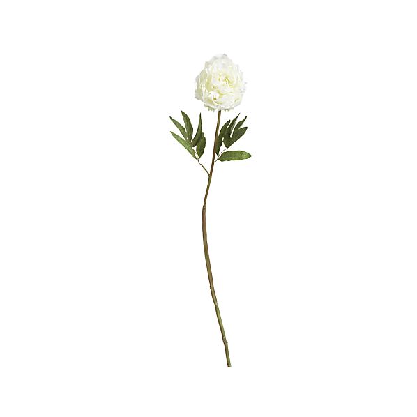 PeonyStemWhiteS7