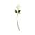 PeonyStemWhiteS7