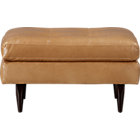 Petrie Leather Ottoman