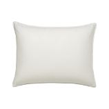 Set of 2 Standard Pillow Protectors