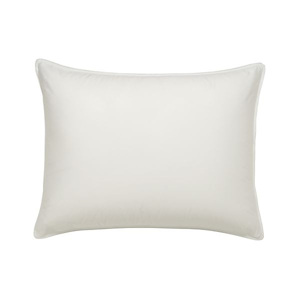 PillowProtectorStandardS8