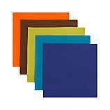 Set of 5 Pintura Dishcloths