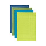 Pintura Dishtowels Set of Four