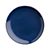 Plate6p5inNavyF10
