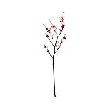 Plum Blossom Branch