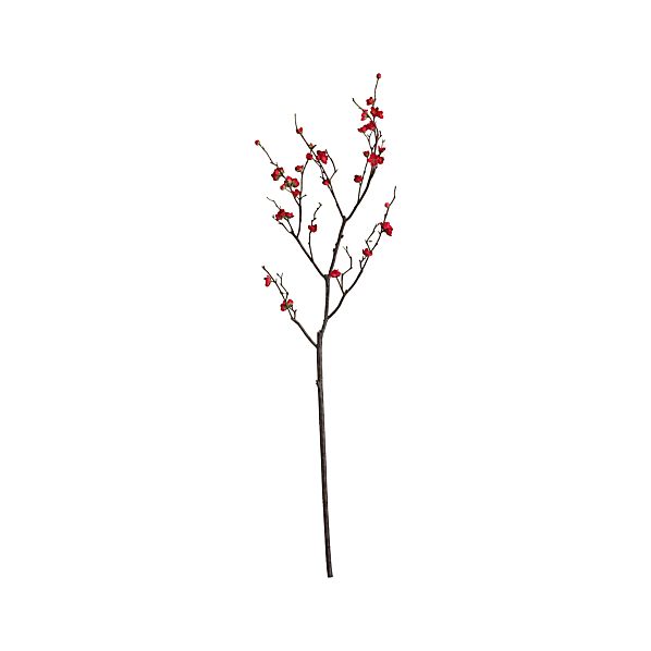 PlumBlossomBranchS12