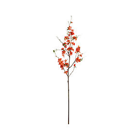 Quince Branch