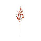 Quince Branch