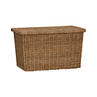 Quinn Small Storage Trunk.