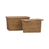 Quinn Storage Trunks