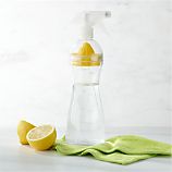 Recipe Natural Cleaning Bottle