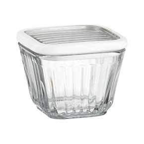 Refrigerator Storage Container 2 Cup with Silicone Lid