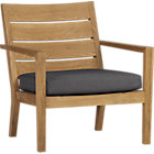 Regatta Lounge Chair with Cushion