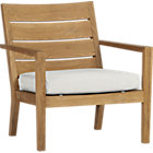 Regatta Lounge Chair with Cushion